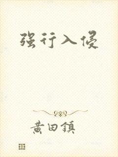 强行入侵封面