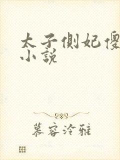 太子侧妃傻乎乎小说封面