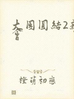 大团圆结2亲情会