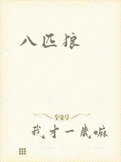 八匹狼