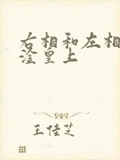 右相和左相一起淦皇上