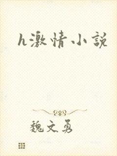 h激情小说封面