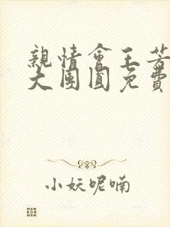 亲情会王芳高敏大团圆免费阅读