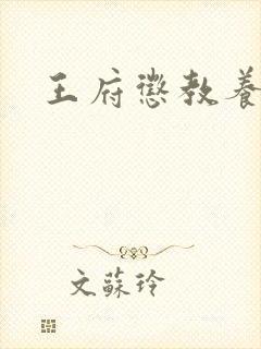 王府惩教养日常