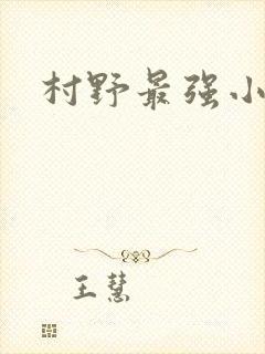 村野最强小农民封面