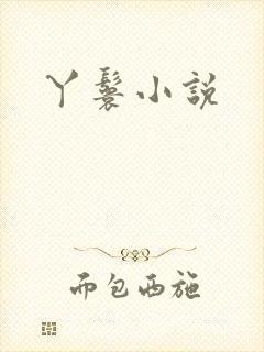 丫鬟小说