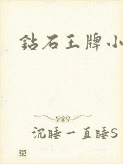 钻石王牌小说