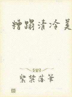 糟蹋清冷美人封面