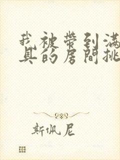 我被带到满是玩具的房间挑调游戏