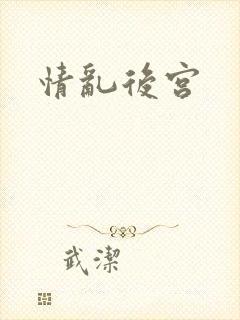 情乱后宫封面