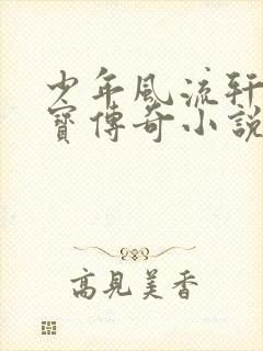 少年风流轩辕大宝传奇小说封面