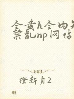 全黄h全肉短篇禁乱np网站