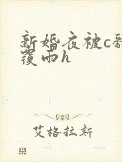 新婚夜被c翻云覆雨h封面