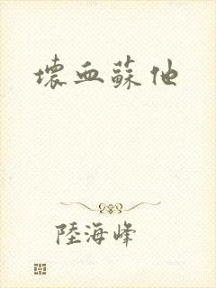 坏血苏他封面