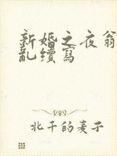 新婚之夜翁莹情乱续写