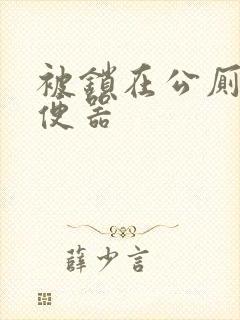 被锁在公厕当坐便器封面