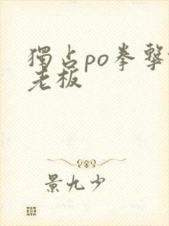 独占po拳击馆老板