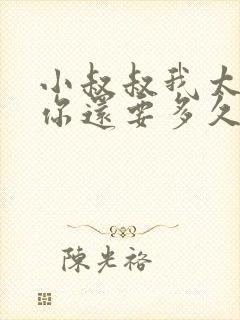 小叔叔我太累了你还要多久封面