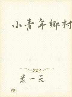 小青年乡村猎艳