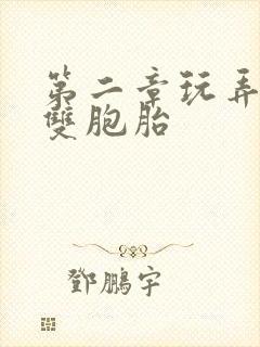 第二章玩弄少妇双胞胎封面
