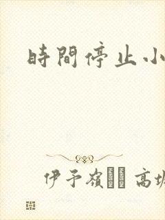 时间停止小说