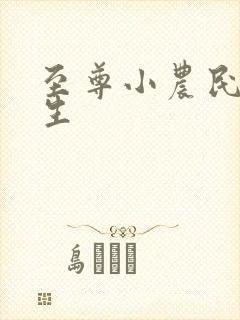 至尊小农民王木生封面