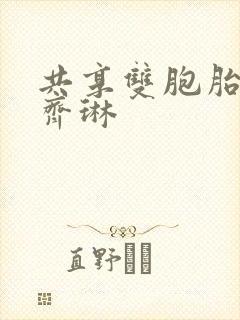 共享双胞胎齐娜齐琳