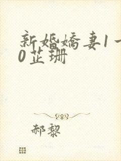 新婚娇妻1一40芷珊