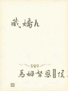 藏娇h封面