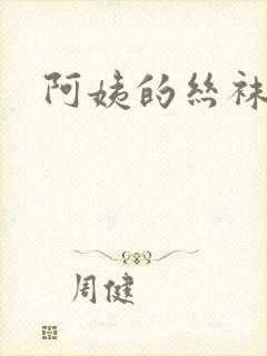 阿姨的丝袜小说