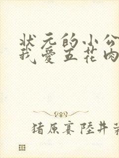 状元的小公主(我爱五花肉)封面