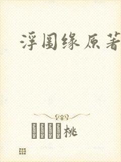 浮图缘原著小说封面