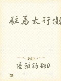 驻马太行侧封面