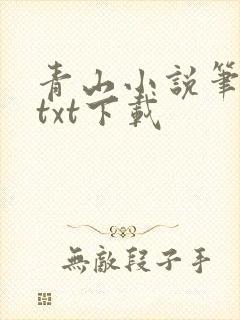 青山小说笔趣阁txt下载