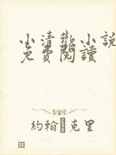 小清欢小说全文免费阅读封面