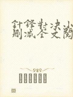 针锋对决小说未删减全文阅读