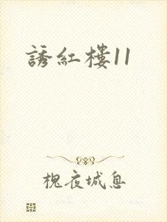 诱红楼11
