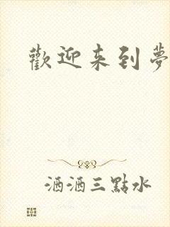 欢迎来到梦乐园封面
