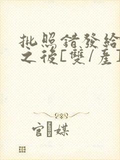 批照错发给情敌之后[双/产]