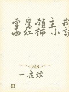 雪鹰领主 我吃西红柿 小说