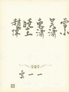 赵晓东吴雪晴郑伟王潇潇小说名字