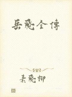 岳飞全传