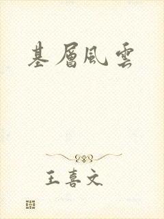 基层风云封面