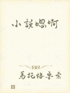 小说嗯啊
