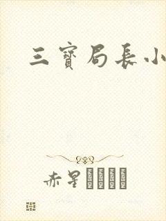 三宝局长小说