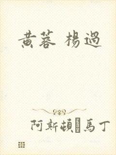 黄蓉 杨过