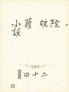 小萝 破除 小说封面