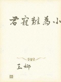 君宠难为小说封面