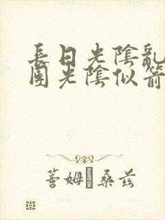 长日光阴乱作一团光阴似箭眇眇翟