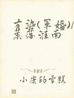 有染(军婚)/叶落淮南